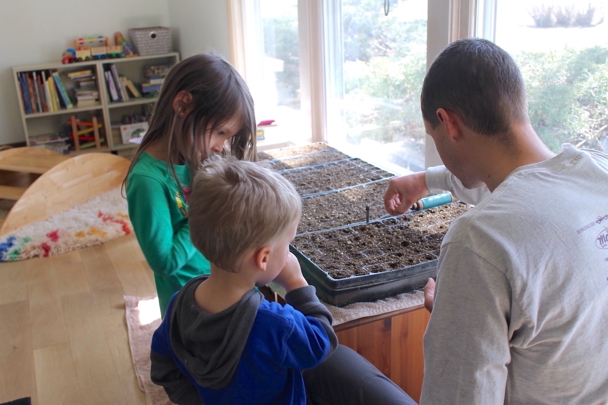 starting seeds indoors