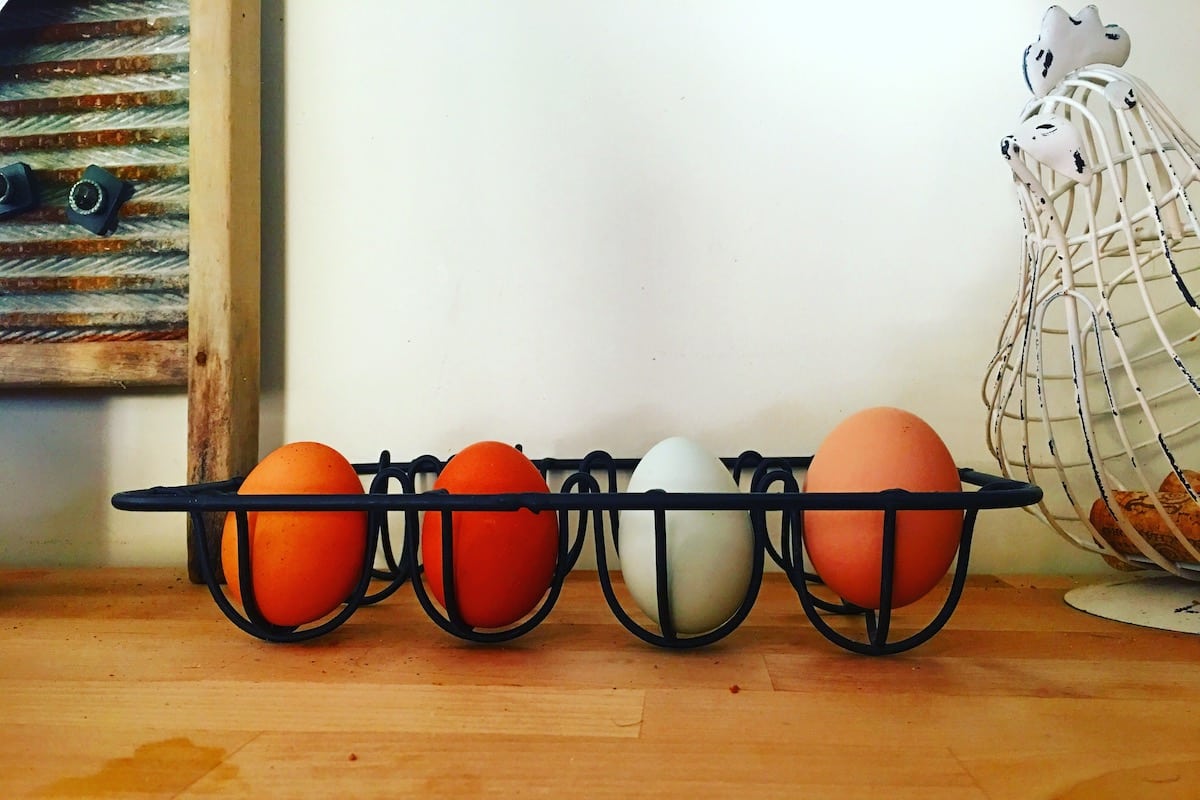 urban homesteading ways