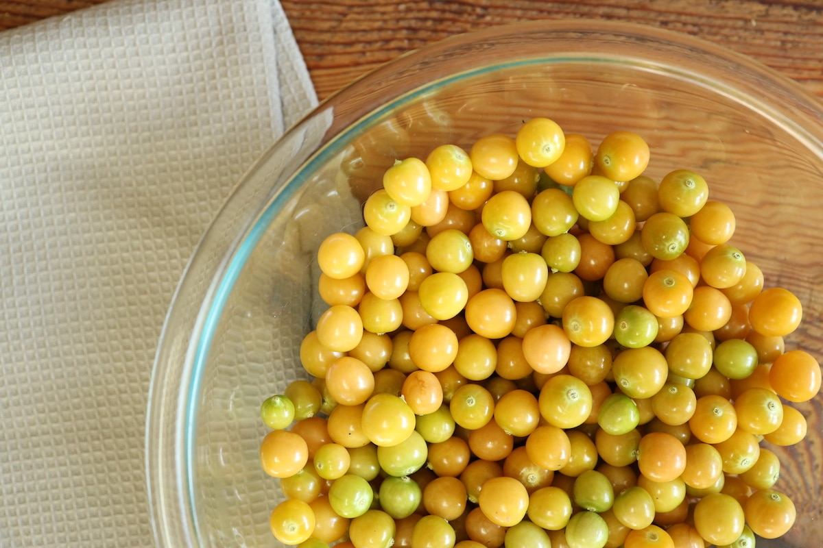 ground cherry recipes