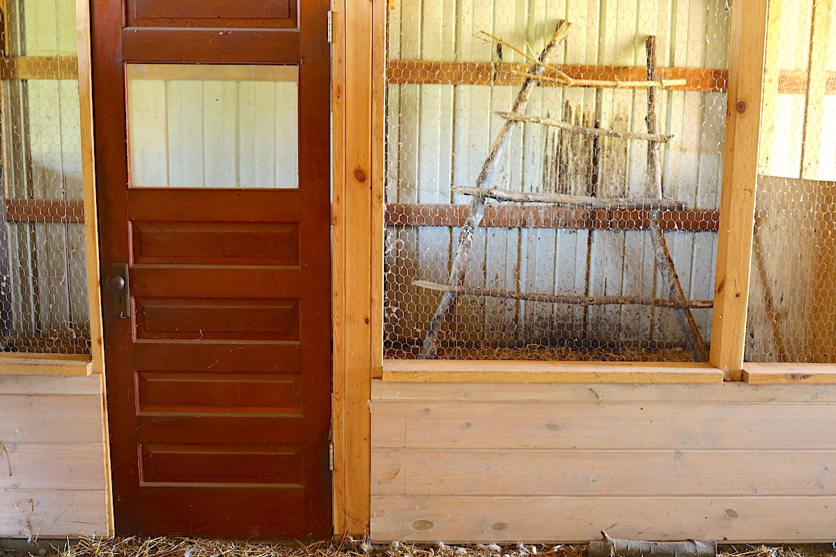 simple diy chicken