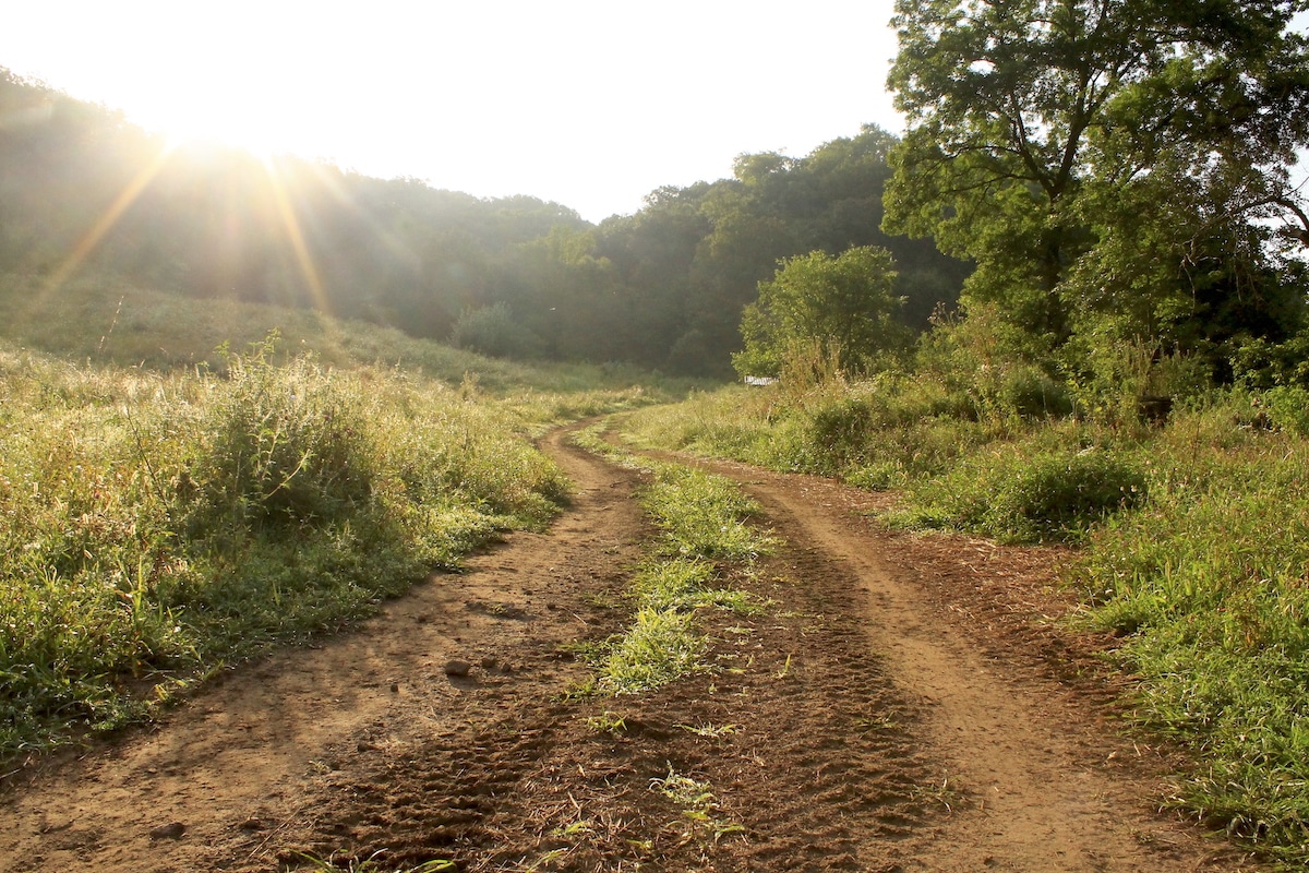 homesteading resources begin