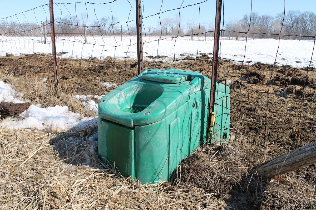 jug waterer review