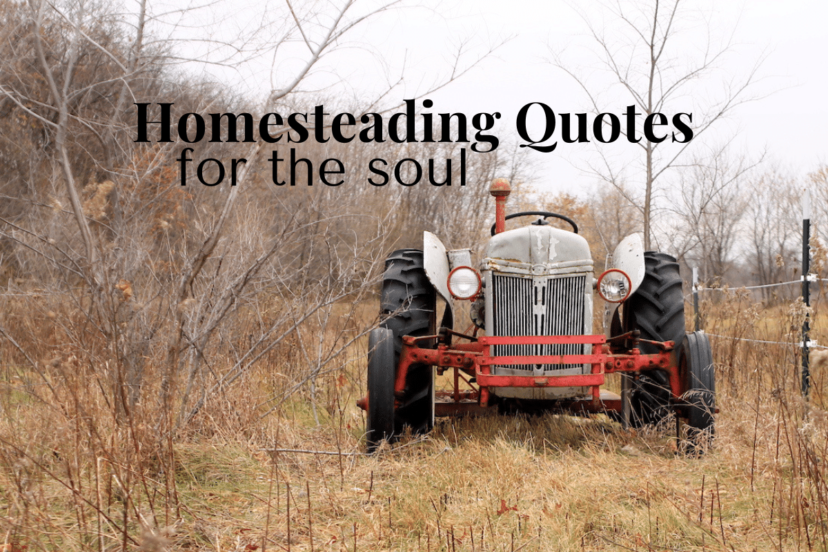homesteading quotes empower