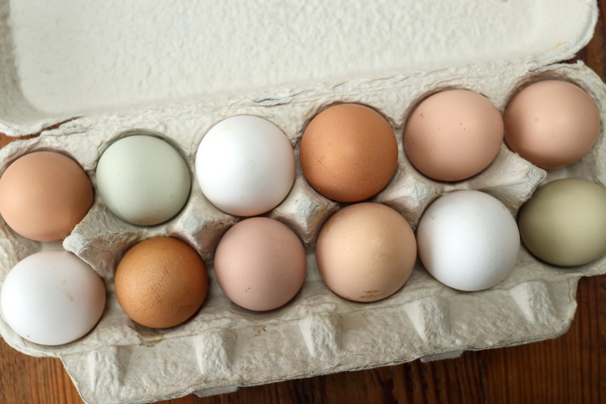 farm fresh eggs