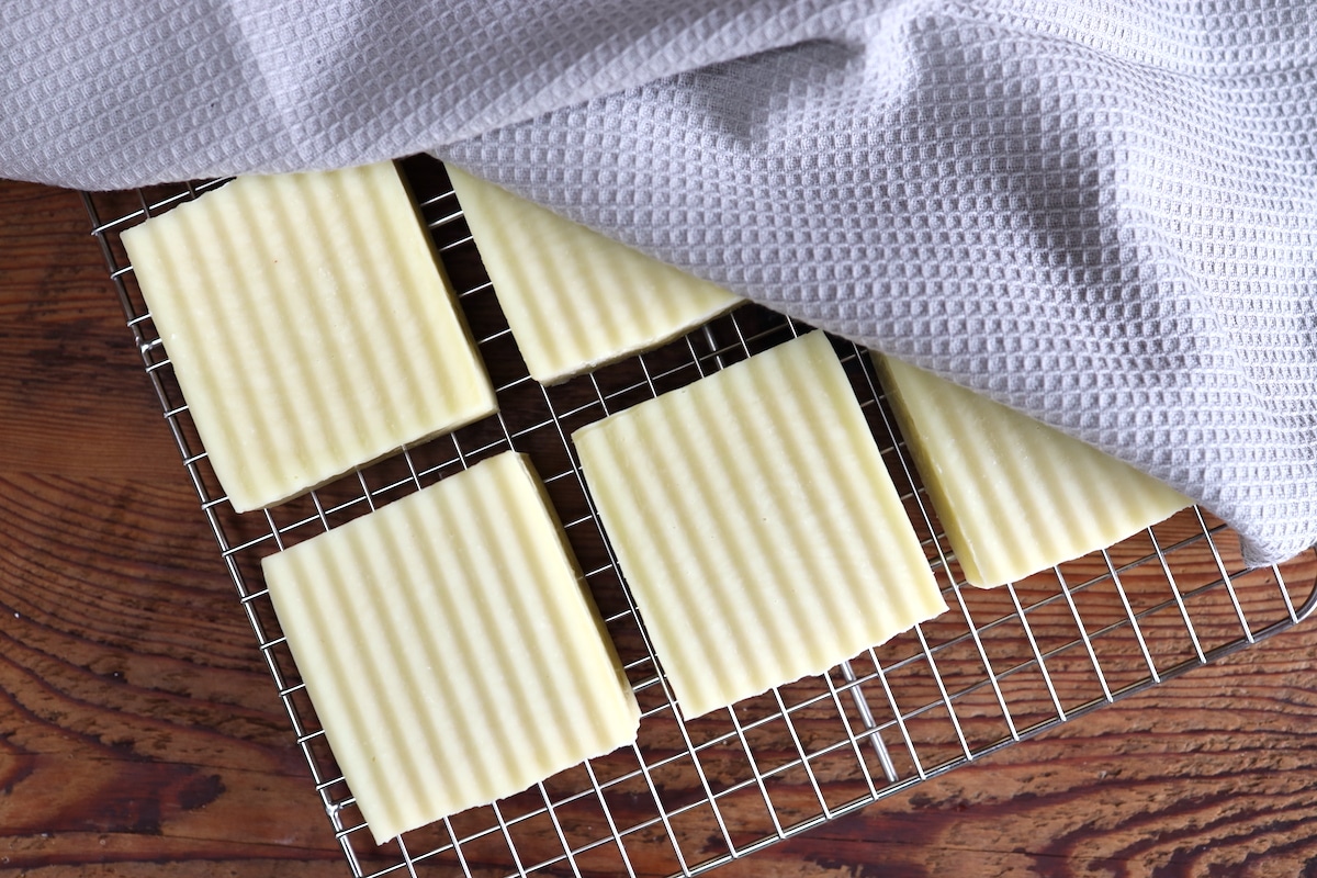 diy tallow shampoo