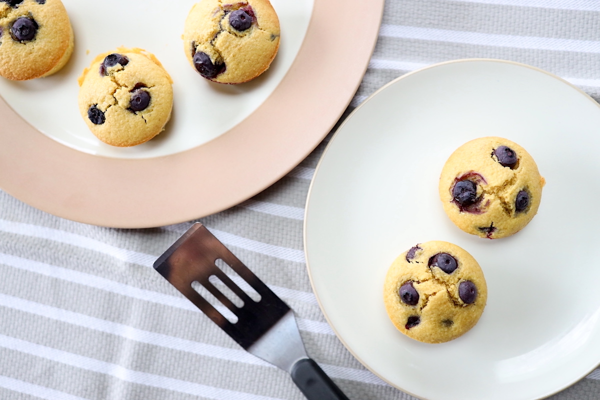 oatmeal blueberry blender