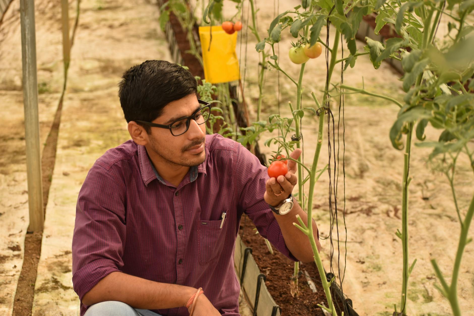 agriculture practical exam 2026
