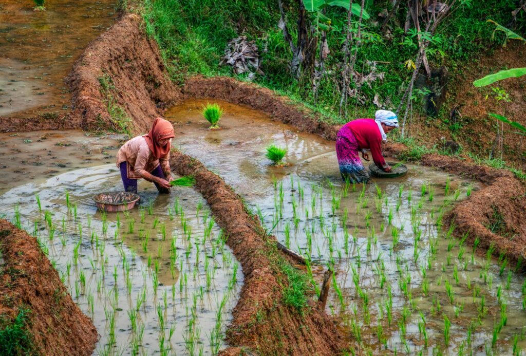 agriculture practical exam 2026