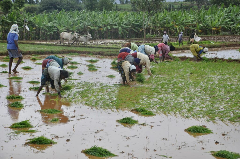 agriculture practical exam 2026
