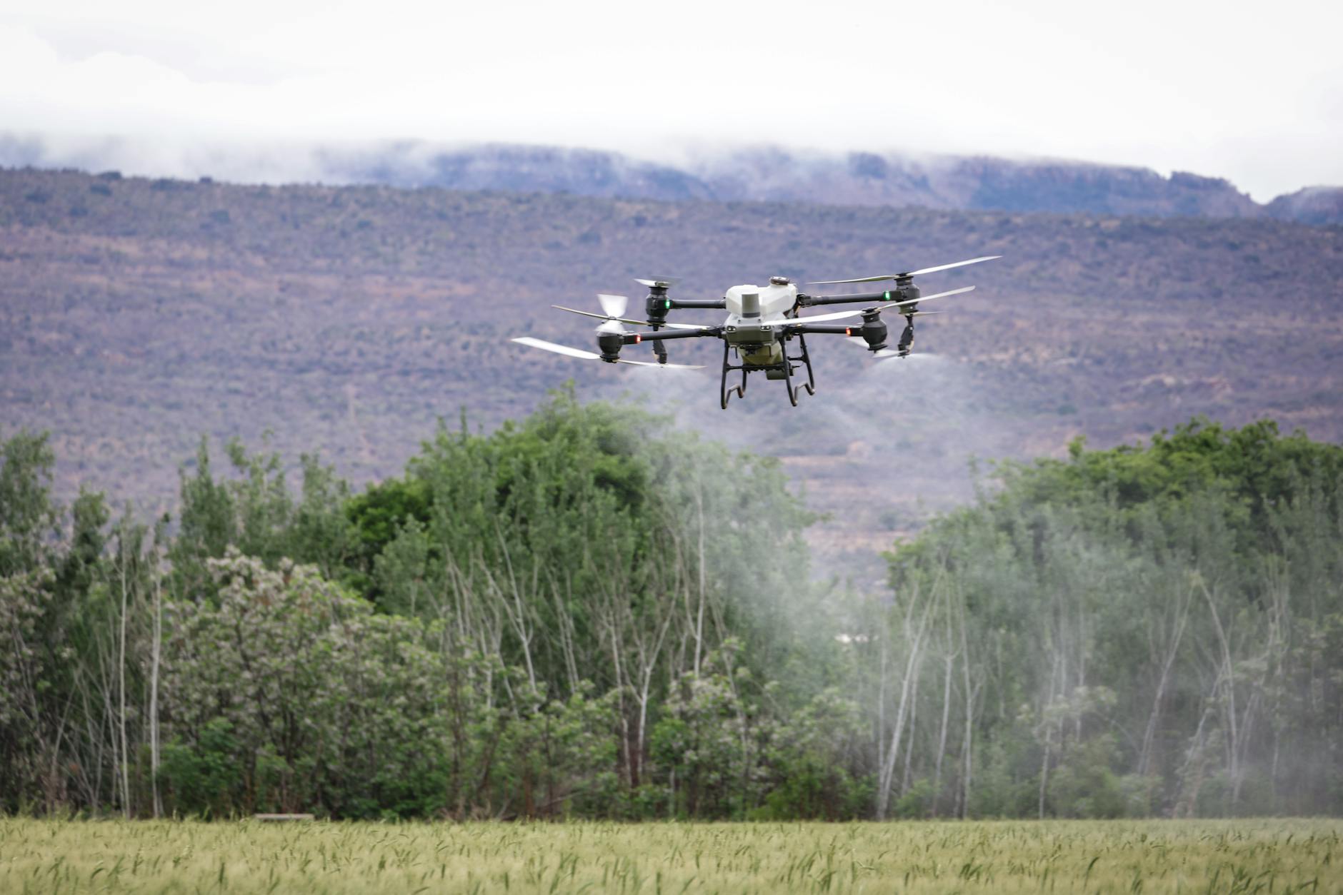 drones for crop monitoring
