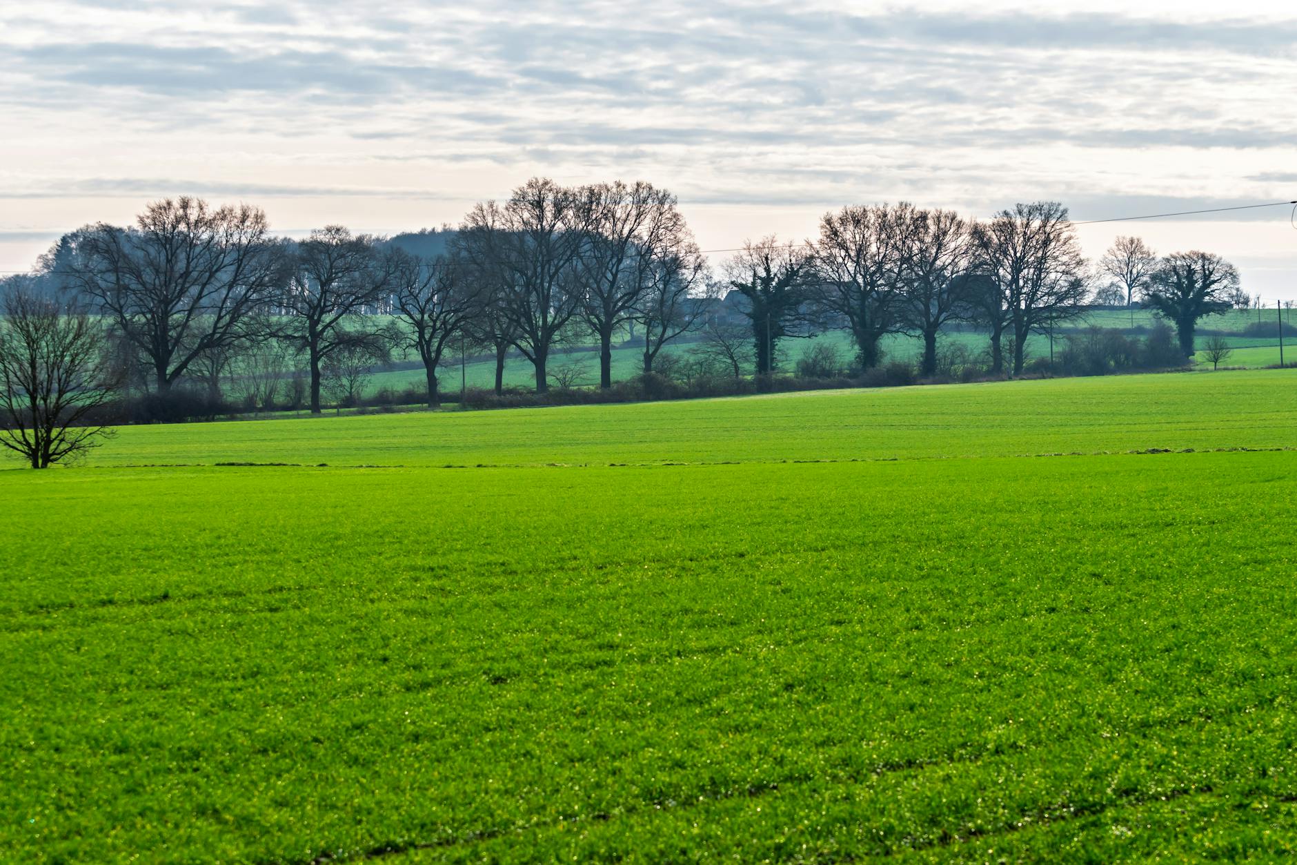 meteo agricole angers