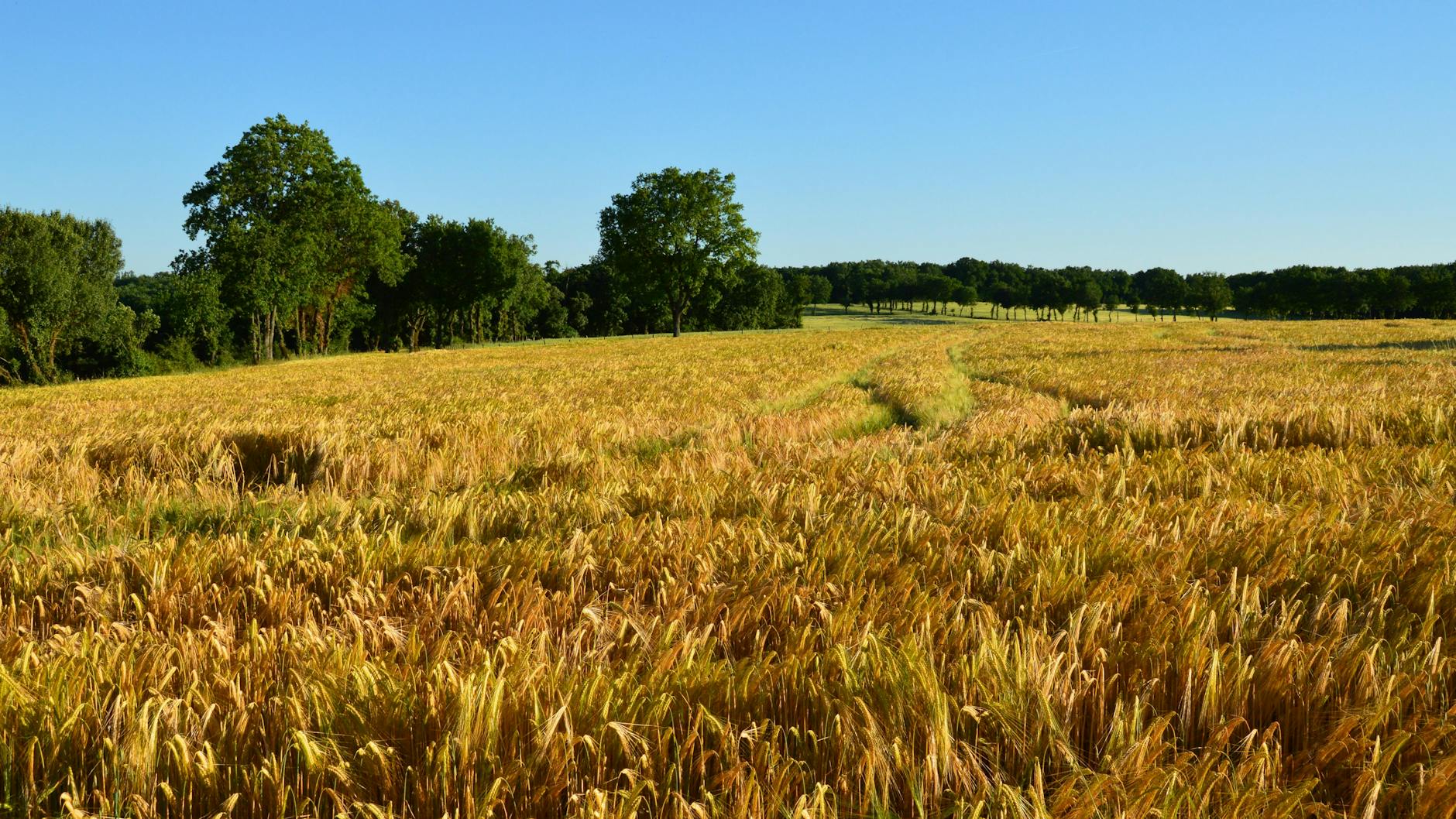 meteo agricole nimes