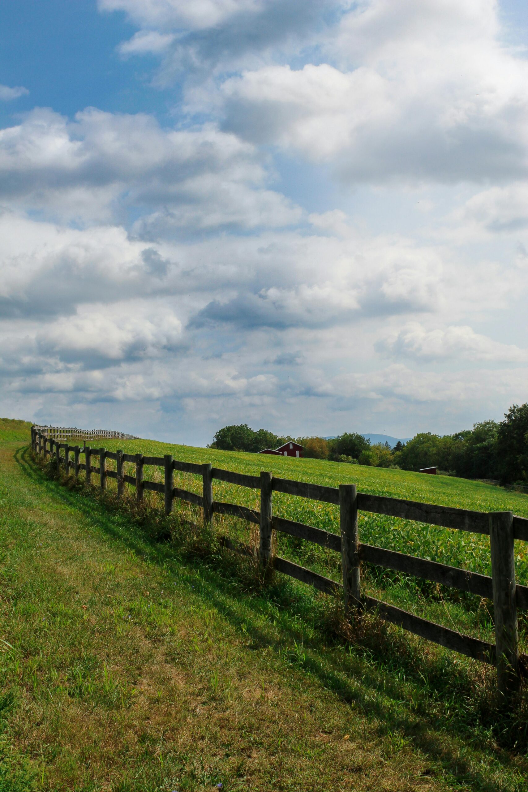 agricultural fencing