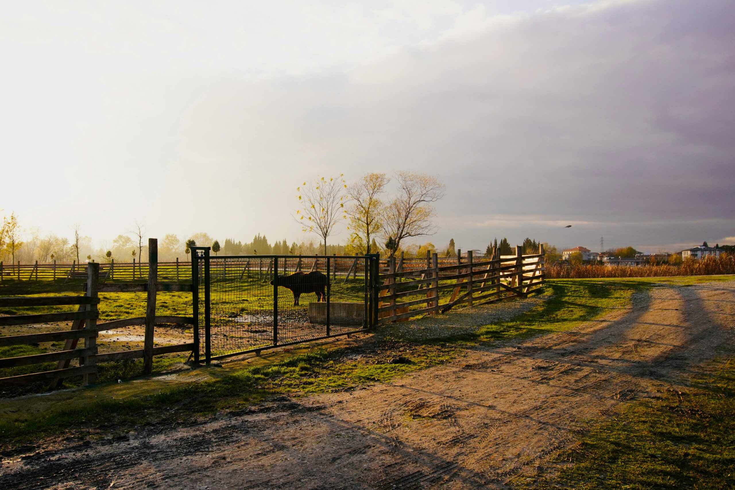 agricultural fencing
