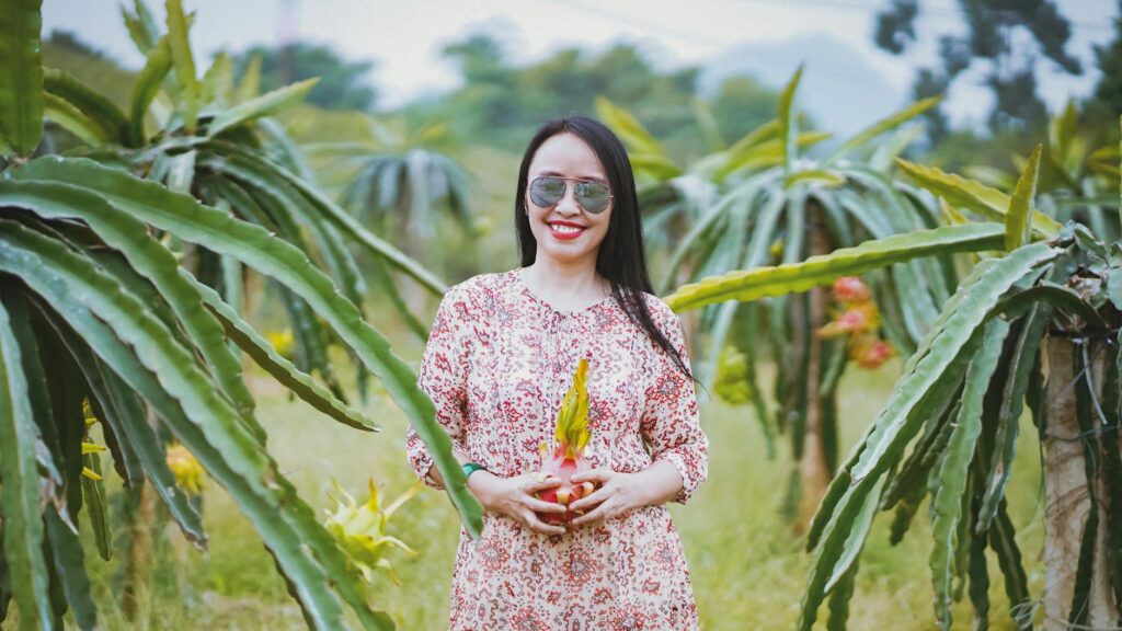 Punjab Dragon Fruit Farming Boom