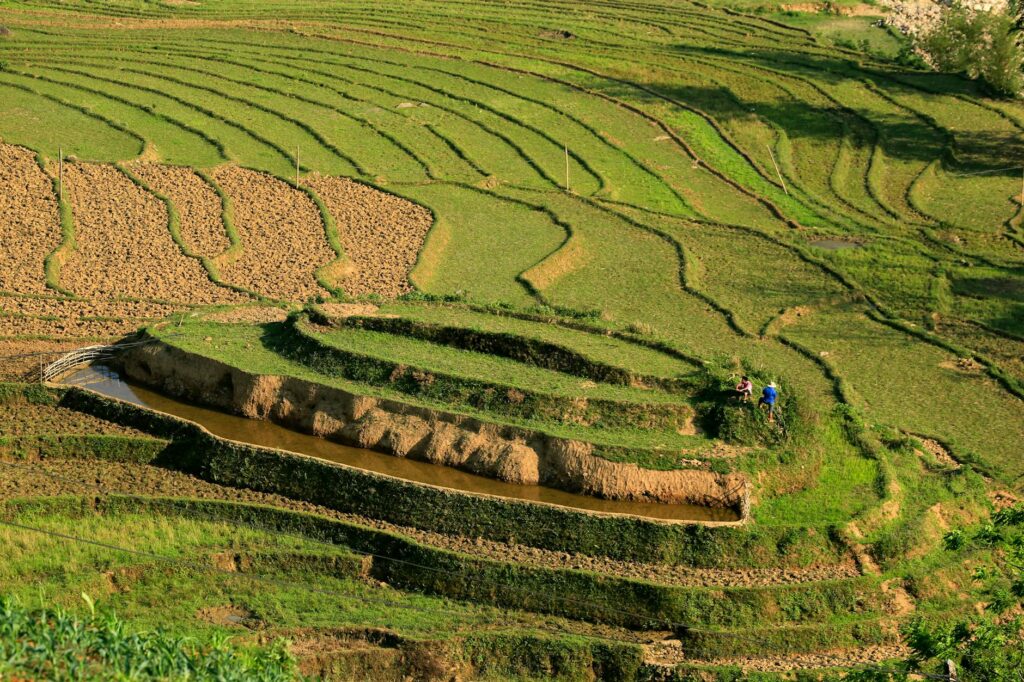 Agricultural Fencing Solutions 2026