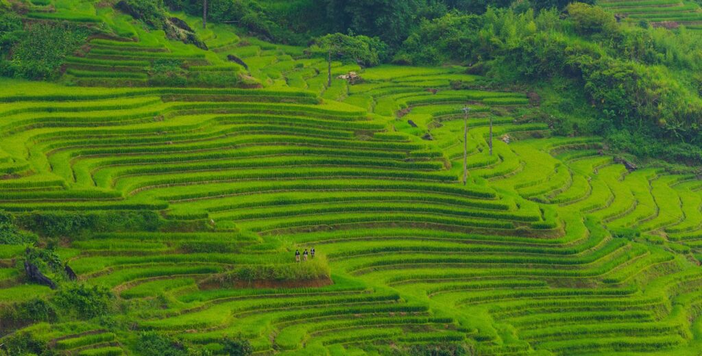 Agricultural Fencing Solutions 2026