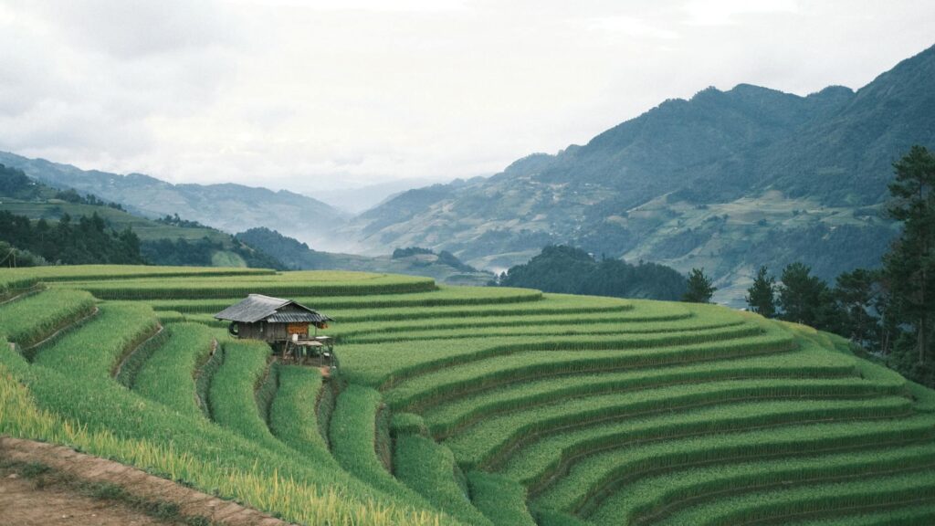 Agricultural Fencing Solutions 2026