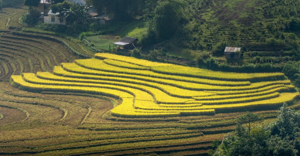 Agricultural Fencing Solutions 2026