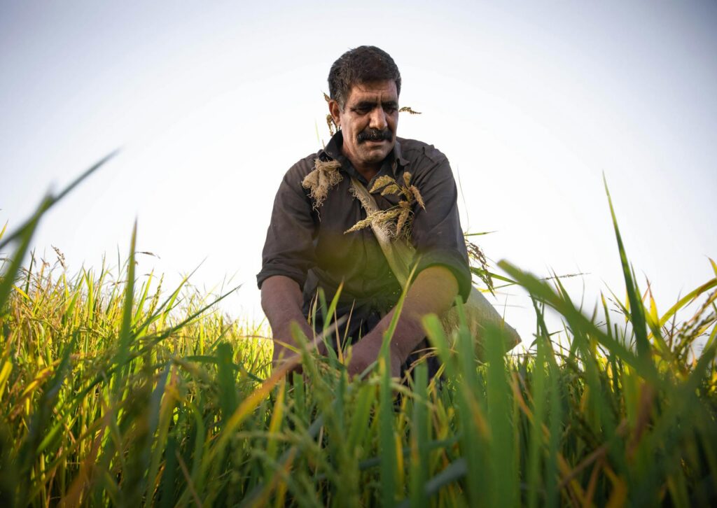 آسان بانک کشاورزی