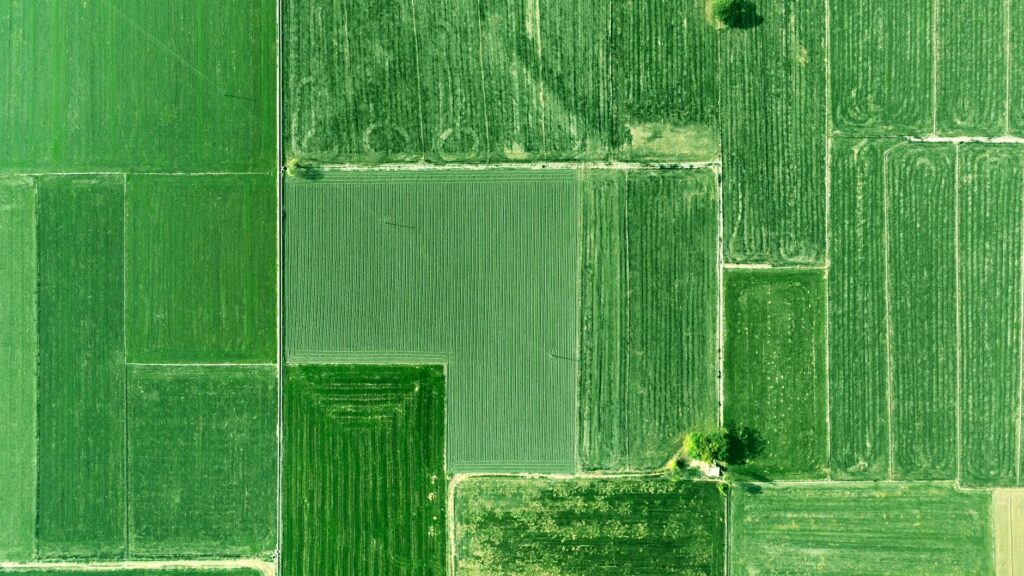 کارت به کارت کشاورزی