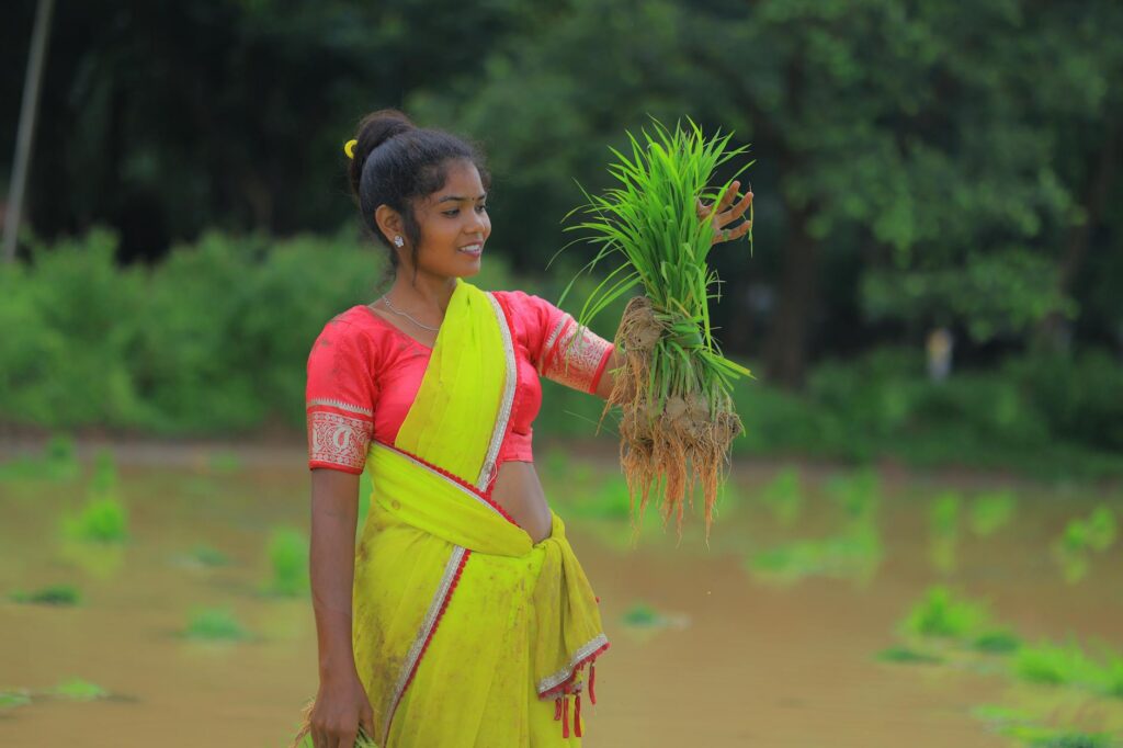 வேளாண்மை
