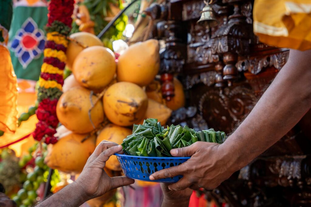 వ్యవసాయం 2026