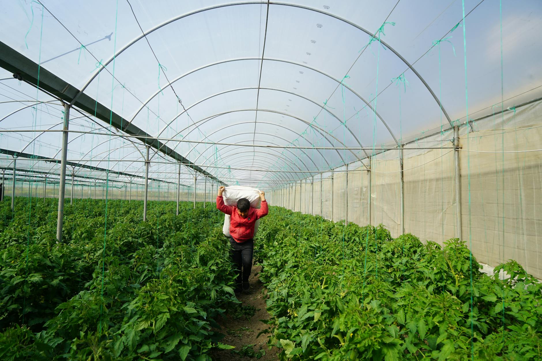 농업 교육 포털
